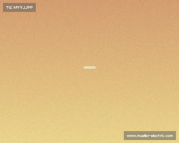 电子竞技无需感情