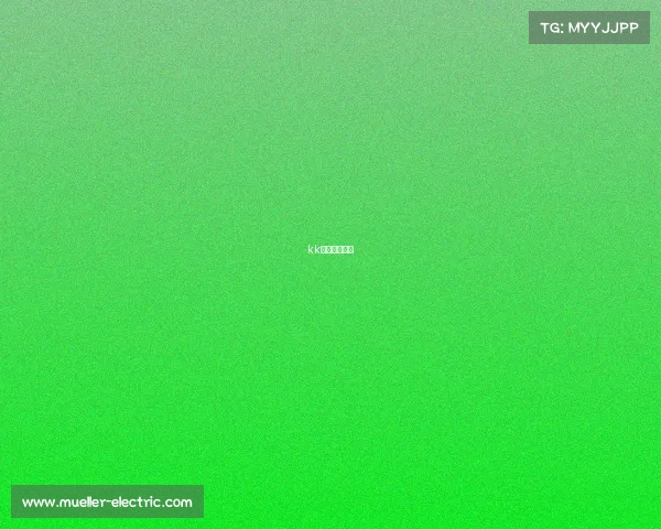 kk电子竞技陪练